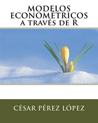 Book cover for Modelos Econometricos a Traves de R