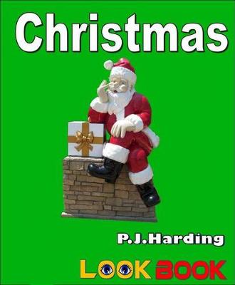 Book cover for Christmas