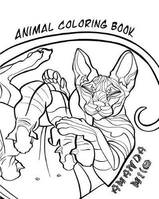 Book cover for Animal Coloring Book