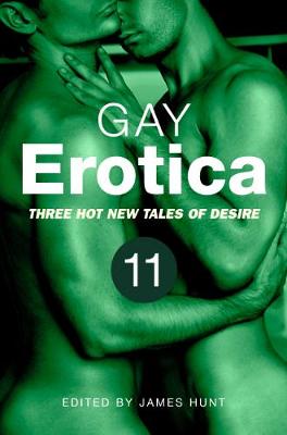 Book cover for Gay Erotica, Volume 11