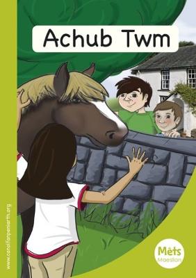 Book cover for Mêts Maesllan: Achub Twm