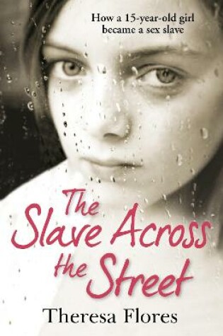 Cover of The Slave Across the Street
