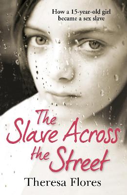 Book cover for The Slave Across the Street