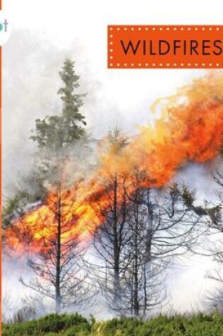 Cover of Wildfires