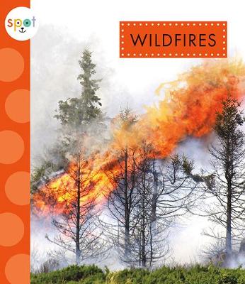 Book cover for Wildfires