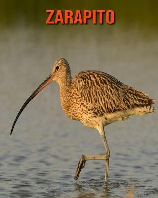 Book cover for Zarapito