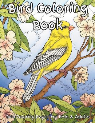 Book cover for Bird Coloring Book