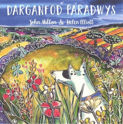 Book cover for Darganfod Paradwys