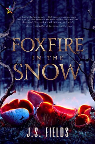 Book cover for Foxfire in the Snow