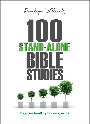 Book cover for 100 Stand-Alone Bible Studies