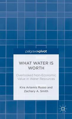 Book cover for What Water Is Worth: Overlooked Non-Economic Value in Water Resources