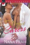 Book cover for A Perfect Caress