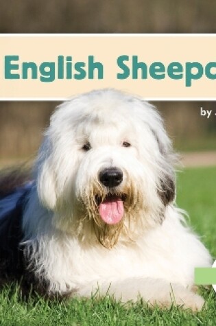 Cover of Old English Sheepdogs