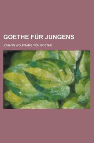 Cover of Goethe Fur Jungens