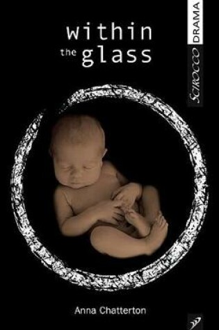 Cover of Within the Glass