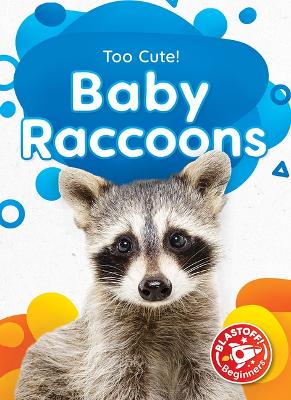 Cover of Baby Raccoons