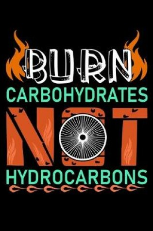 Cover of Burn carbohydrates hydrocarbons
