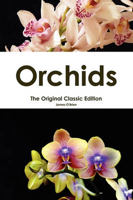 Book cover for Orchids - The Original Classic Edition