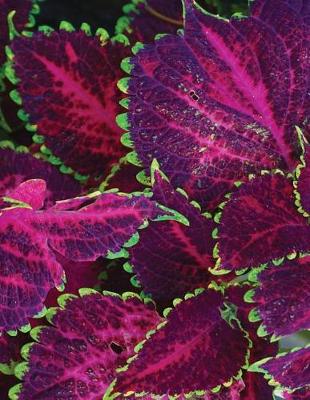 Cover of Purple Coleus Sketchbook