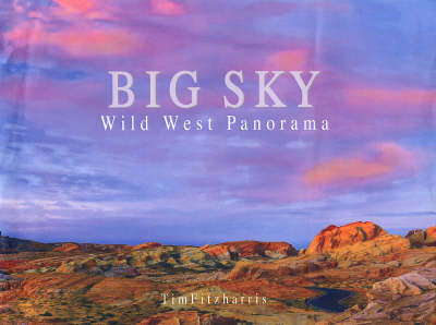 Book cover for Big Sky