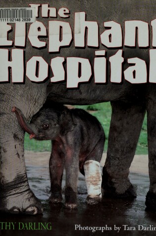 Cover of Elephant Hospital