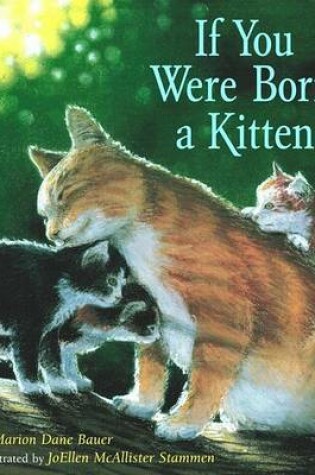 Cover of If You Were Born Kitten (Board)