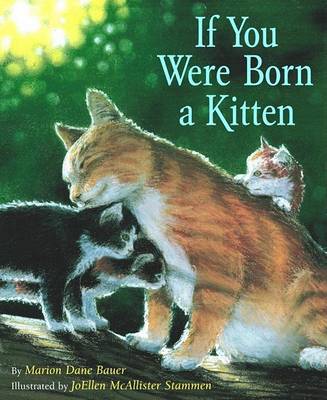 Book cover for If You Were Born Kitten (Board)