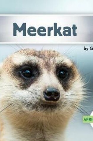 Cover of Meerkat