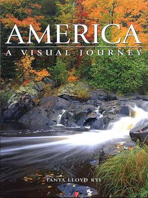 Book cover for America