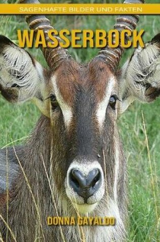 Cover of Wasserbock