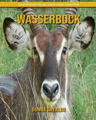 Book cover for Wasserbock