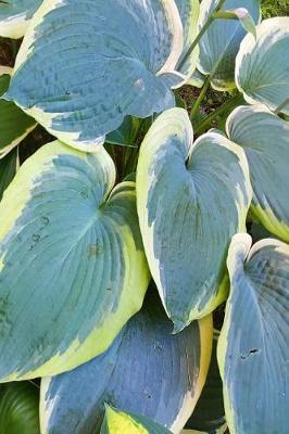 Book cover for Journal Hosta Garden