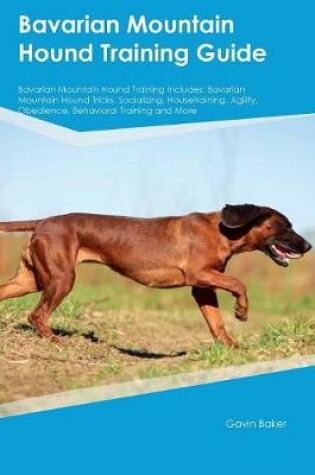 Cover of Bavarian Mountain Hound Training Guide Bavarian Mountain Hound Training Includes