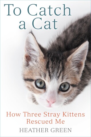 Book cover for To Catch a Cat