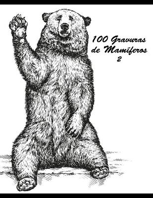 Book cover for 100 Gravuras de Mamíferos 2