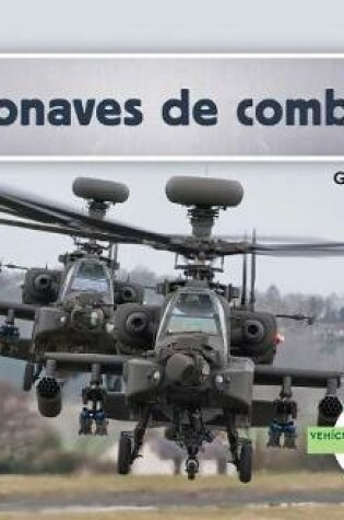 Cover of Aeronaves de Combate (Military Attack Aircraft )