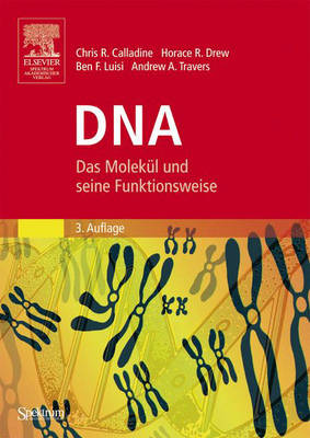 Cover of DNA