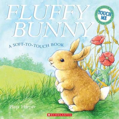 Book cover for Fluffy Bunny