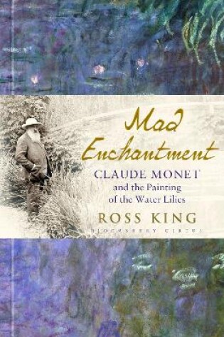 Cover of Mad Enchantment