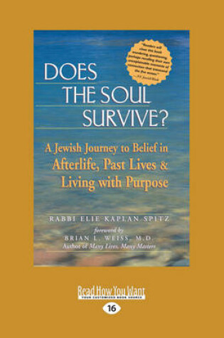 Cover of Does the Soul Survive?