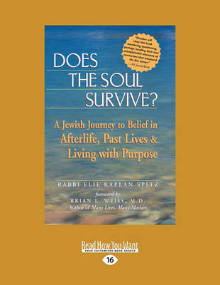 Book cover for Does the Soul Survive?