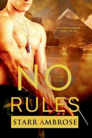 Cover of No Rules