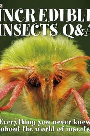 Cover of Incredible Insects Q & A