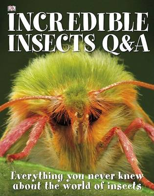 Book cover for Incredible Insects Q & A