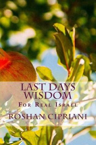 Cover of Last Days Wisdom