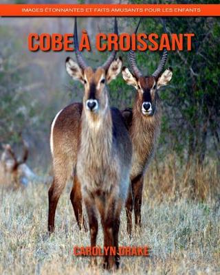 Book cover for Cobe à Croissant