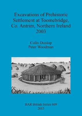 Book cover for Excavations of Prehistoric Settlement at Toomebridge Co. Antrim Northern Ireland 2003