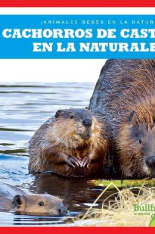 Cover of Cachorros de Castor En La Naturaleza (Beaver Kits in the Wild)