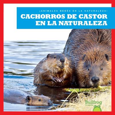 Cover of Cachorros de Castor En La Naturaleza (Beaver Kits in the Wild)