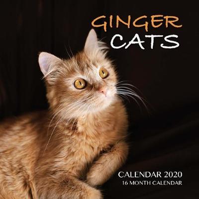 Book cover for Ginger Cats Calendar 2020